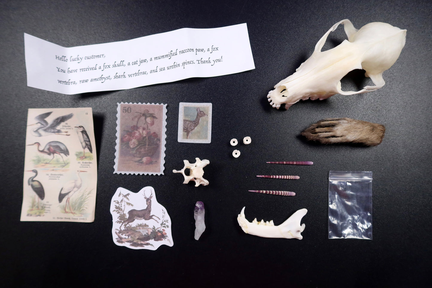 Caja misteriosa $50 (abierta)