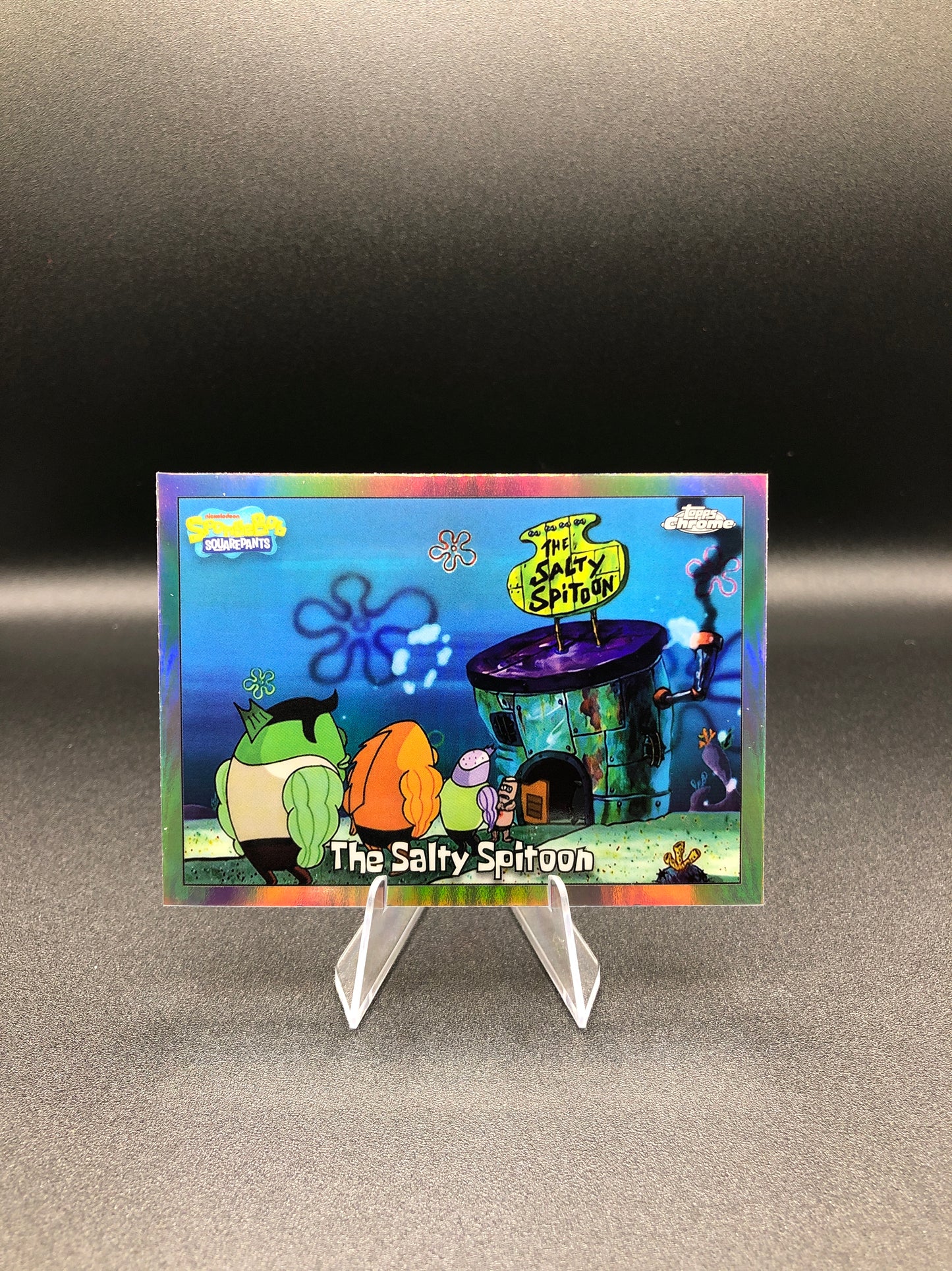 The Salty Spitoon