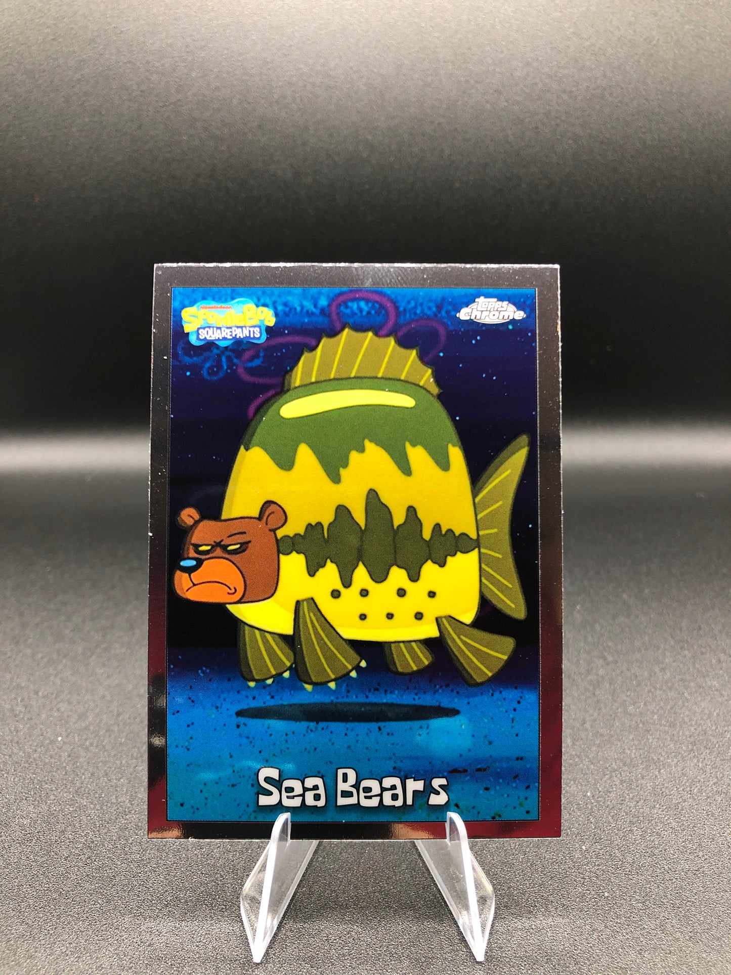 Sea Bears