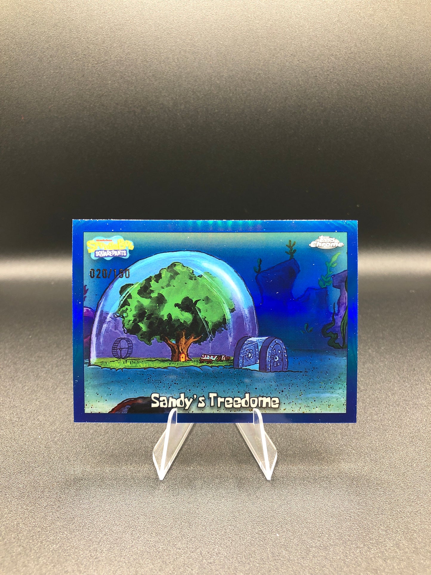 Sandy's Treedome